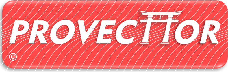 Provecttor S.A.